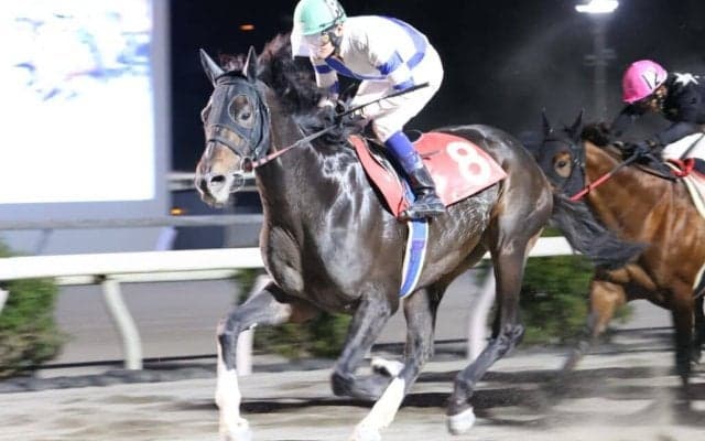 【高知・仁淀川特別】ロッキーサンダーが快勝…赤岡「もう少し長い方が」