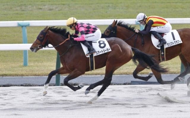 【新馬/京都6R】スマートシーカーがデビューV