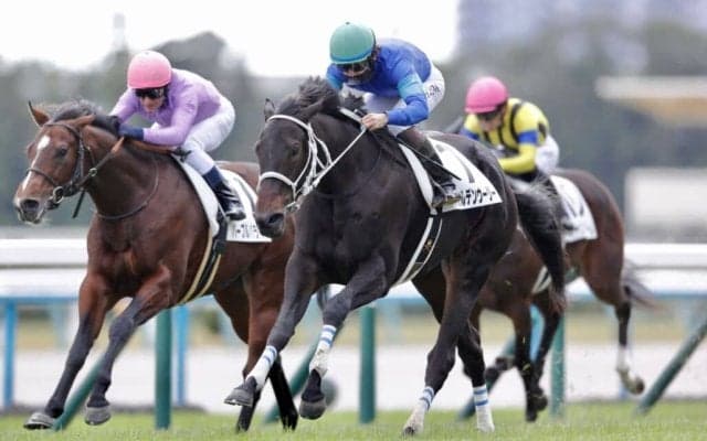 【新馬/京都5R】外国馬ワイルデンウーリーが人気に応える…2番人気スニーカースキルは最下位