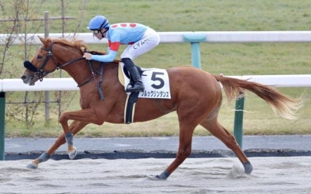 【京都2R】ルヴァンスレーヴ産駒 ブルックリンダンスが初勝利