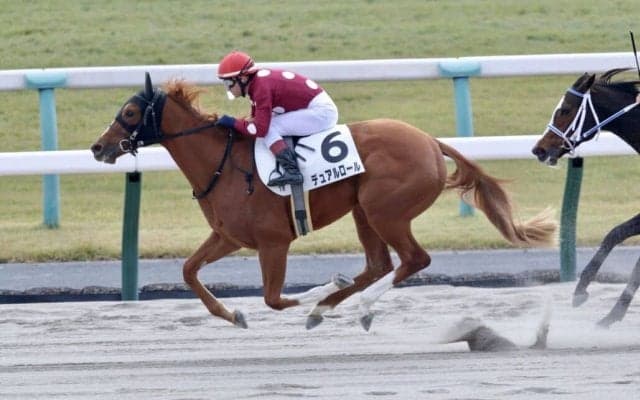 【京都1R】モズアスコット産駒 デュアルロールが初勝利