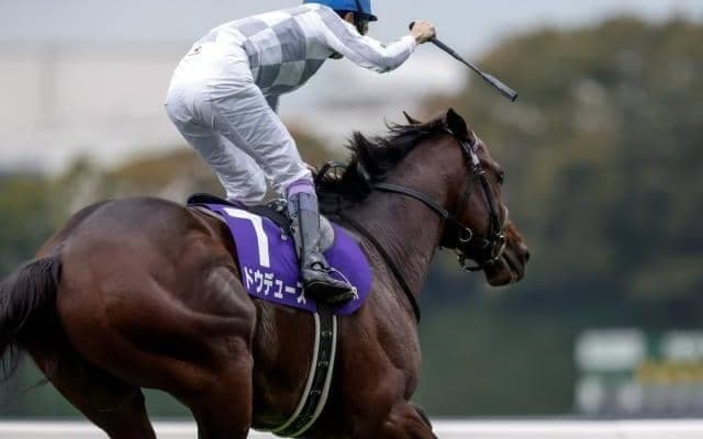 【今日の注目ポイント】ジャパンCでドウデュースなどが強力外国勢を迎え撃つ