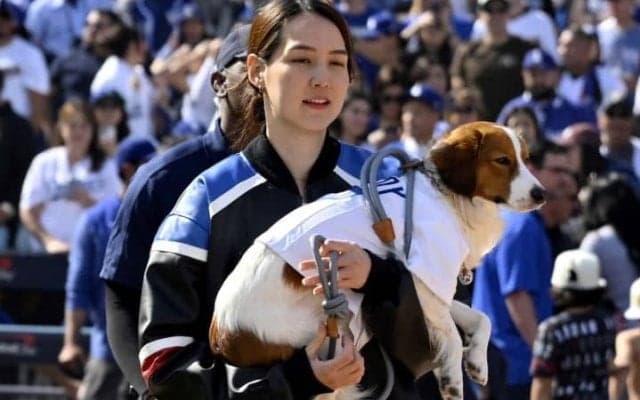 「的外れ」MLBが大谷翔平の妻・真美子さん“軽視”!?　米メディアがMVP表彰報道に異論「マミコを評価する機会を逃した」