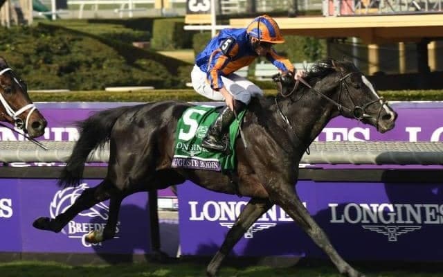 【ジャパンC予想】1着賞金5億円かけた夢の大一番 国内外からトップホースが集結