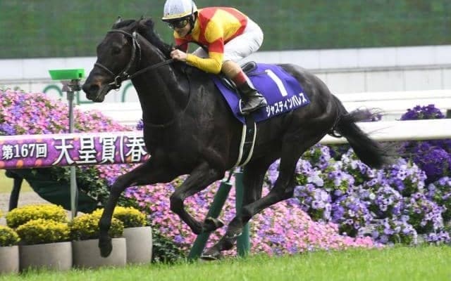 【ジャパンC】連続的中の鉄板パターンは継続可能？ 過去データで探るGIジャパンC