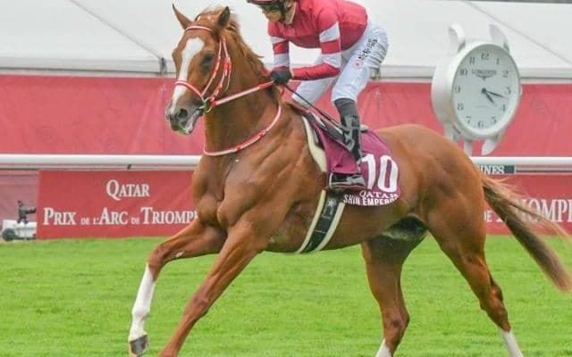 東京芝はやや外伸びか シンエンペラー＆チェルヴィニアに注目