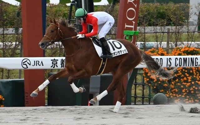【京都4R新馬戦結果】ルヴァンスレーヴ産駒セボンサデッセが好位抜け出しV