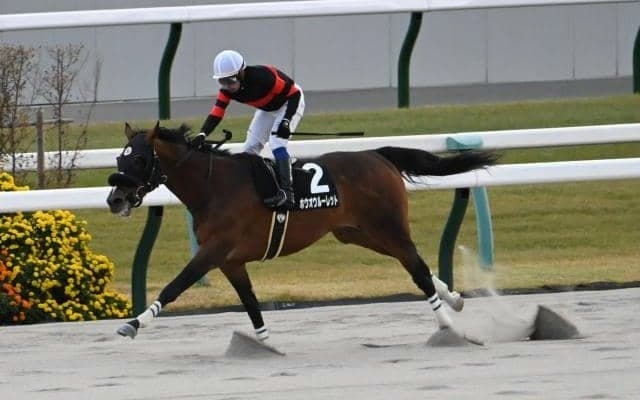 【カノープスS結果】ホウオウルーレットが差し切り快勝