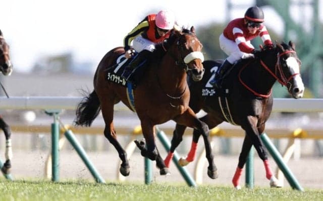 【ベゴニア賞】C.デムーロ騎乗 良血ディアナザールが2勝目