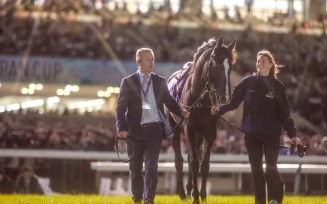 オーギュストロダンの引退お披露目式が行われる 関係者5名のコメント