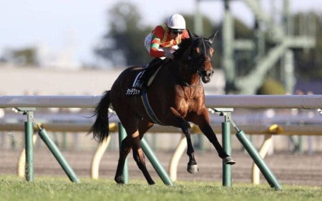 【アーモンドアイC】タッチウッドが1年7ヶ月ぶりレースを逃げ切る