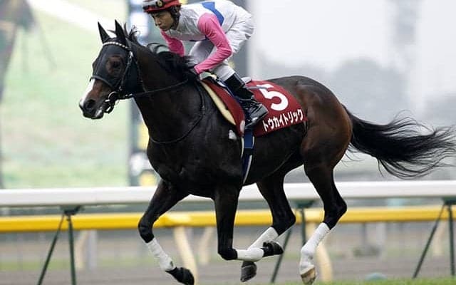 同期ディープインパクトからオルフェーヴルまで トウカイトリックが戦った馬たち