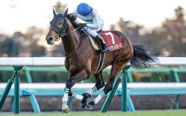 【ステイヤーズS見どころ】アイアンバローズの連覇に期待