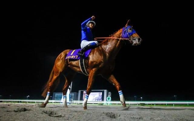 【チャンピオンズC見どころ】レモンポップが連覇有終の美を飾るか