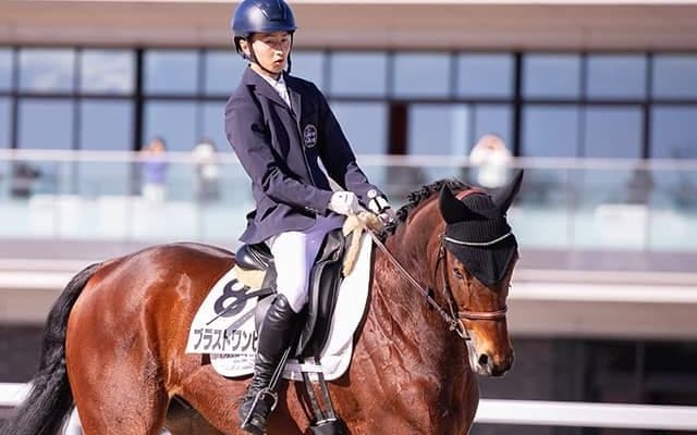 ブラストワンピースは今年が優勝へラストチャンス 29日から引退競走馬による馬術大会「RRC FINAL」