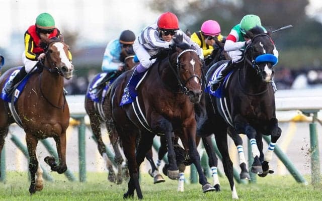 ドウデュースを導いた武豊の「リスキーな判断」　オーギュストロダンら外国馬惨敗は“競技の違い”が背景に【ジャパンC】