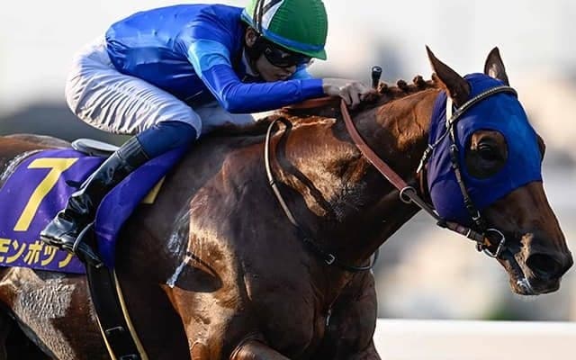 【チャンピオンズC想定騎手】レモンポップは坂井瑠星騎手、ウィルソンテソーロは川田将雅騎手