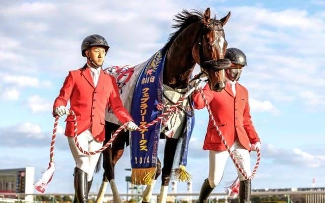 【AI予想・チャンピオンズC】前走でハイレベルなレースに出走していた馬が中心 人工知能は打倒絶対王者に燃える3頭を高評価