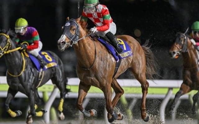 【船橋記念枠順】DG競走4勝のジャスティンは3枠3番