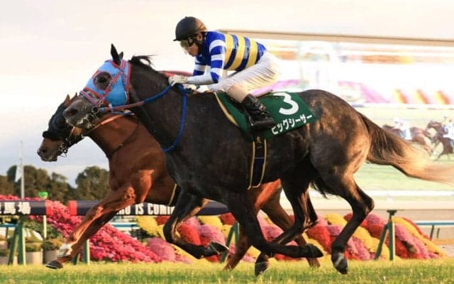 【京阪杯】ビッグシーザーが重賞初制覇