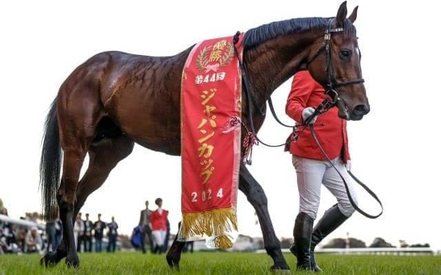 稀有の決め手でジャパンC制したドウデュース 「母の脚力」×「父のスタミナ」が生んだ爆発的な加速力