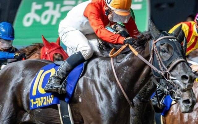 チャンピオンズC史上2頭目の牝馬戴冠へ 9年ぶりの偉業に今年重賞2勝挙げるコンビが挑む
