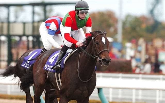 単勝66.4倍の12番人気が「3強」を撃破 チャンピオンズC史上初の牝馬V