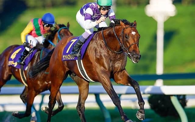 今年のチャンピオンズCが3歳馬に有利な理由とは？「12月1日」開催の秘密