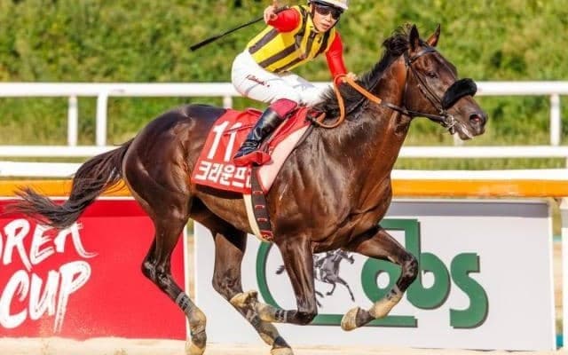 コリアCでV2を果たした実力派 チャンピオンズCで悲願のGI制覇を果たすか