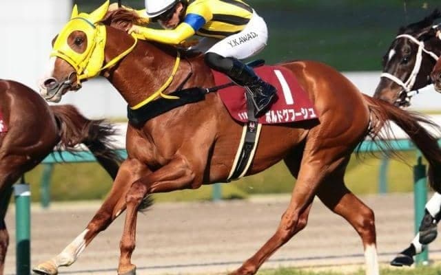 史上最長の「中579日」で重賞初制覇なるか チャレンジCで実績馬が1年7カ月ぶり復帰だ