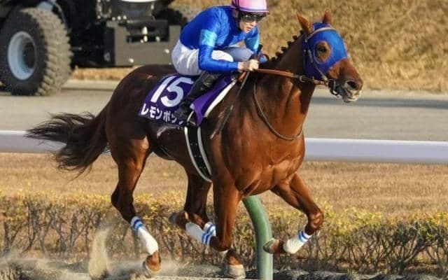 【チャンピオンズC予想オッズ】レモンポップが予想1番人気