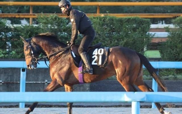 クロウキャニオンの2022(キャニオンデシェイ)など、先週のゲート試験/栗東トレセンニュース