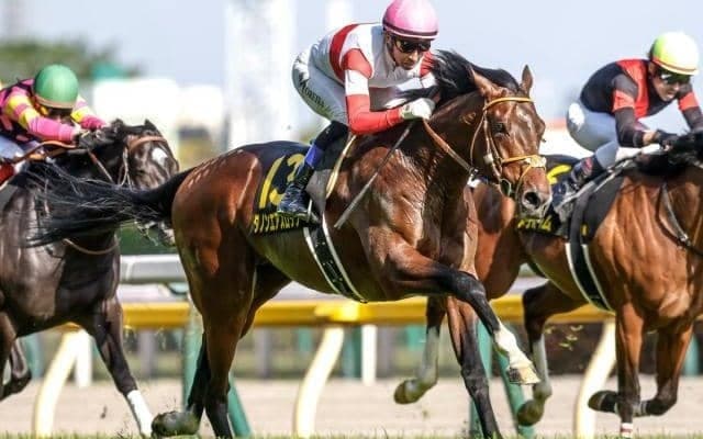 【チャレンジC予想オッズ】ダノンエアズロックが予想1番人気