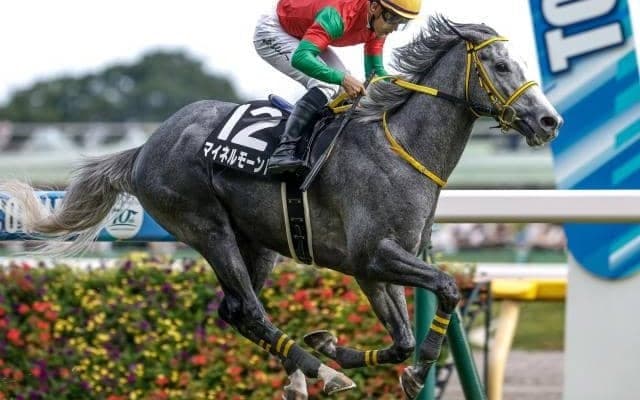 【チャレンジC展望】好走条件満たし妙味十分のマイネルモーントが狙い目