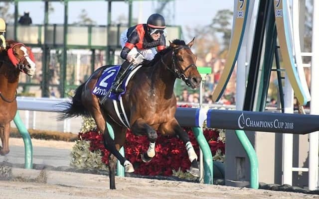 種牡馬として好スタートのルヴァンスレーヴ キャリア唯一のJRA・GI制覇