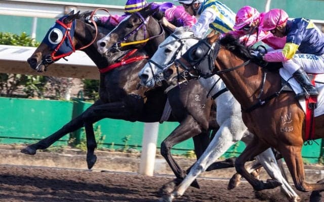 【チャンピオンズC／穴ライズ】大敗は「理由ありき」の反抗　レモンポップが牽引の展開で再浮上の想定“8人気”前後