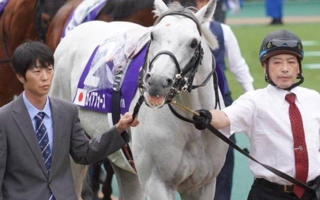 22年ぶり史上2頭目のダート未勝利馬Vへ 現役屈指の“二刀流”がチャンピオンズC挑む