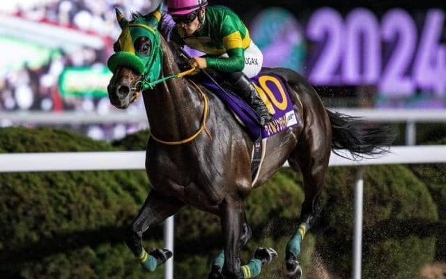 “ダート界の王”との最終決戦 昨年2着の雪辱に燃える5歳馬がチャンピオンズCに挑む