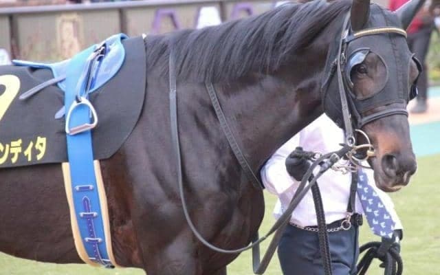 武豊騎手の“3元号制覇”がかかる一戦 チャレンジCは7歳馬とタッグ