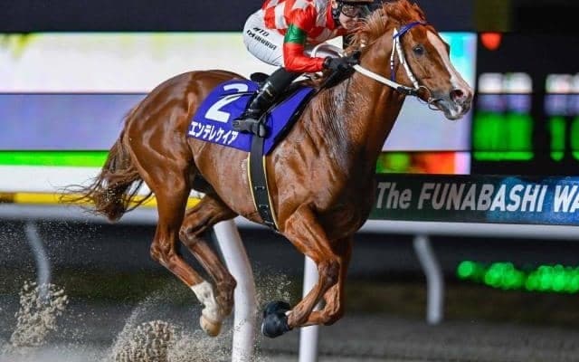 【船橋・船橋記念結果】エンテレケイアが4馬身差の逃げ切りV！重賞3勝目を挙げる