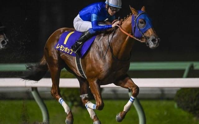 【チャンピオンズC展望】ダートの頂上決戦、レモンポップが有終の美を飾るか