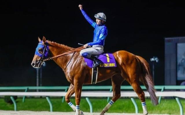 【チャンピオンズC枠順確定】レモンポップは1枠2番、ウィルソンテソーロは4枠8番