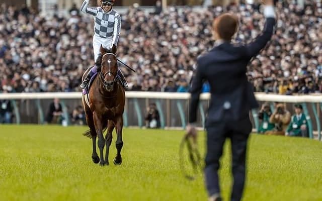 【有馬記念ファン投票】ドウデュースが大差で独走キープ 第2回中間発表
