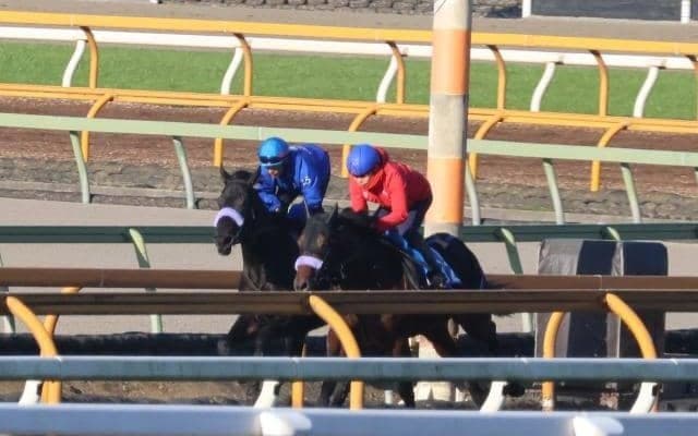 マジックサンズ、ホープフルS追い切り速報/栗東トレセンニュース