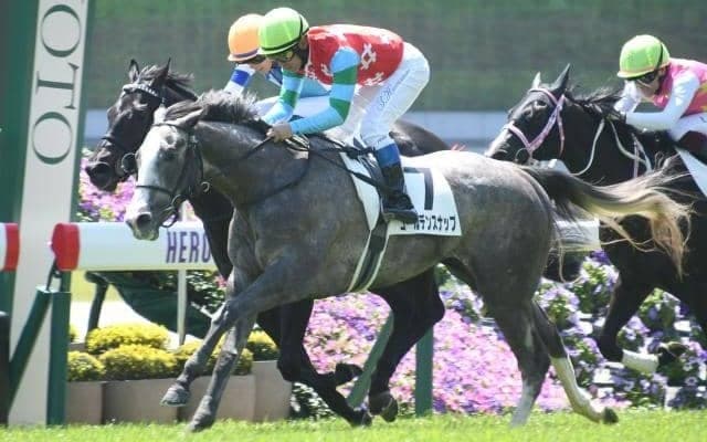 【ステイヤーズS出走馬・騎手確定】ゴールデンスナップ＆坂井瑠星騎手、シュヴァリエローズ＆北村友一騎手など14頭