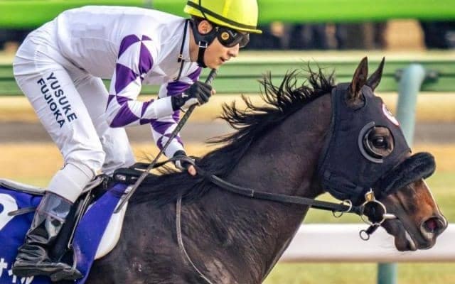 フェブラリーS覇者 史上5頭目のJRAダートGI同年ダブル制覇なるか