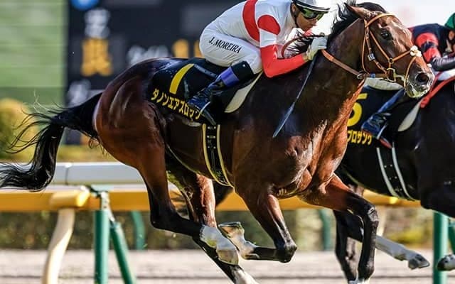 超高額4.5億円馬 チャレンジCで史上最高額のJRA重賞勝ち馬となるか