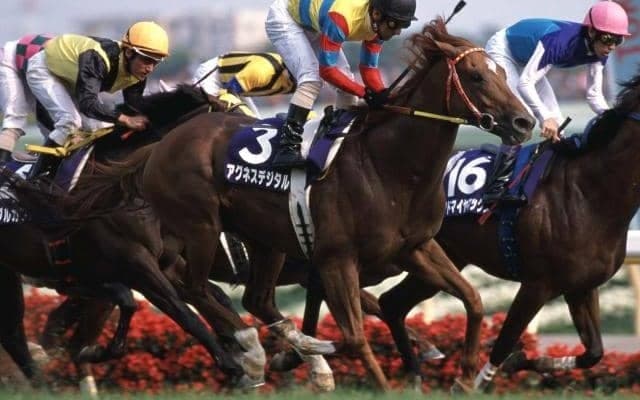 あなたが思う“二刀流”の馬といえば？ オールラウンダーから1960年代の名馬まで数多くの声