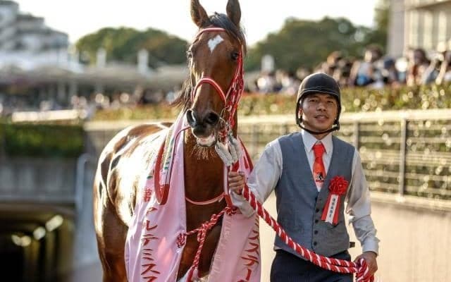 【チャレンジC枠順確定】ラヴェルは5枠9番、ダノンエアズロックは8枠14番