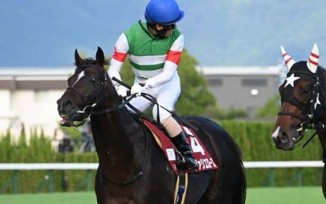 【ステイヤーズS枠順確定】シュヴァリエローズは3枠4番、アイアンバローズは3枠3番